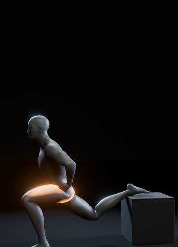 ブルガリアンスクワットの3Dアニメーション