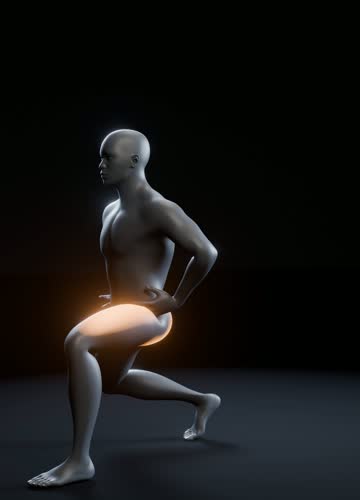 フロントランジの3Dアニメーション