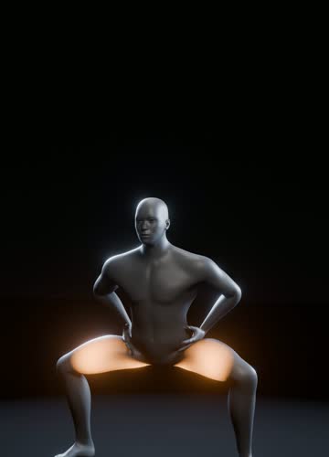 ワイドスクワットの3Dアニメーション